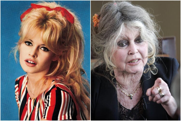 Brigitte Bardot Still Alive Net Worth