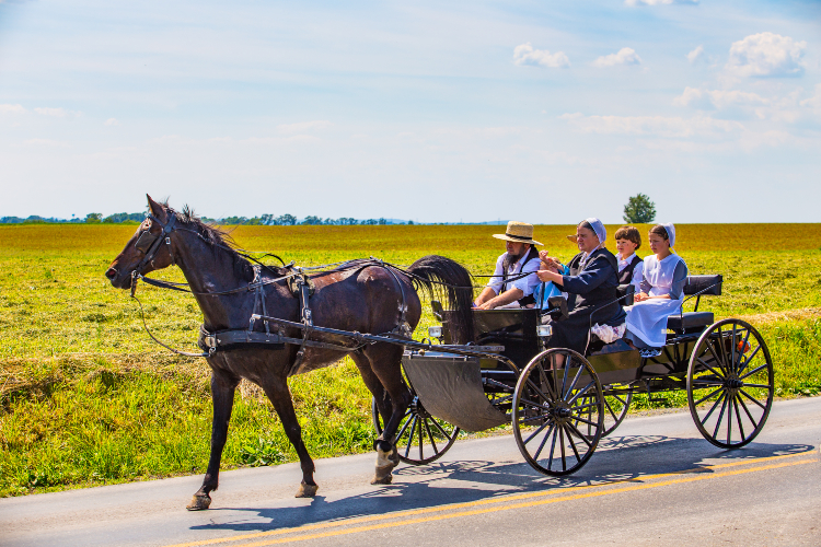 Amish Life Lessons