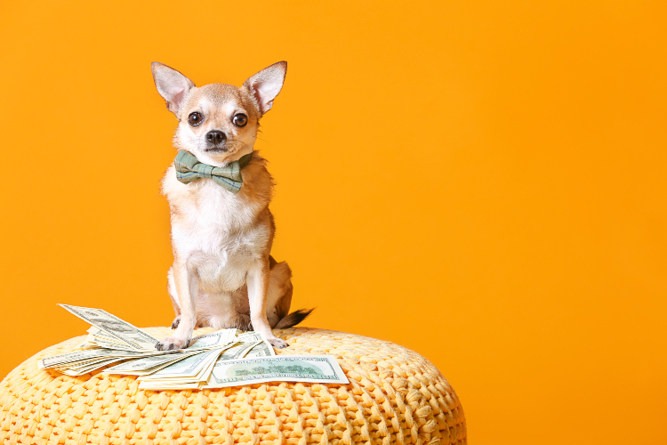 Save on Pet Expenses